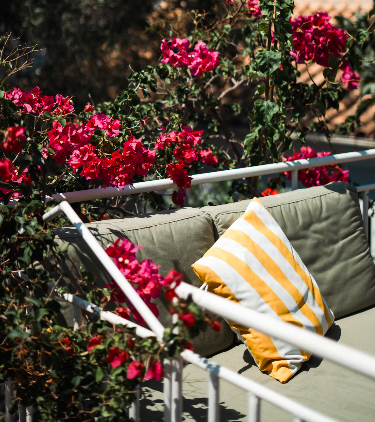 Terrace sofa framed by bougainvillea